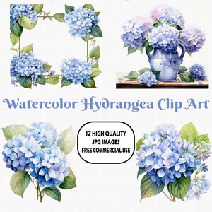 Watercolor Hydrangea Clip Art, 12 High Quality (300 DPI) JPG Images With Solid Background, Instant Digital Download