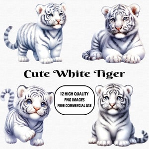 Aquarelle Mignon Tigre Blanc Clipart, 12 (300 DPI) PNG Images Transparentes, Tigres Blancs PNG Clipart, Adorable Bébé Tigre Blanc Clipart