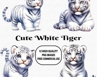 Watercolor Cute White Tiger Clipart, 12 (300 DPI) PNG Transparent Images, White Tiger Cubs PNG Clipart, Adorable Baby White Tiger Clipart