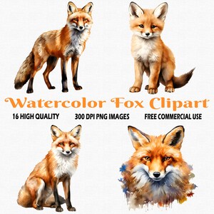 Clipart renard aquarelle, 16 images transparentes PNG de haute qualité (300 ppp), aquarelle mignon bébé renard clipart, renard aquarelle PNG