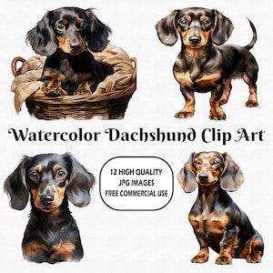 Watercolor Dachshund Clip Art, 12 High Quality (300 DPI) JPG Images With Solid Background, Instant Digital Download
