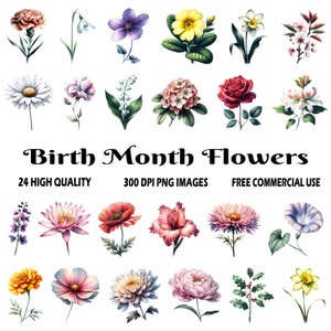 Fleurs du mois de naissance, 24 images transparentes de haute qualité (300 ppp) PNG, fleurs du mois de naissance des cliparts PNG, sublimation fleurs du mois de naissance