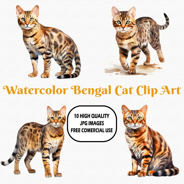 Watercolor Bengal Cat Clip Art, 10 High Quality (300 DPI) JPG Images With Solid Background, Instant Digital Download