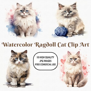 Watercolor Ragdoll Cat Clip Art, 10 High Quality (300 DPI) JPG Images With Solid Background, Instant Digital Download