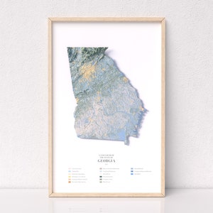 Map of Georgia Poster - Warm Colored Modern Infographic Land Cover Topographic Natural Georgia Map Wall Art