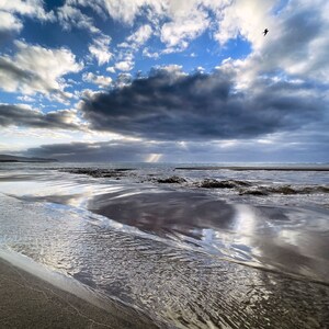Photography Landscape Wall Art Print, Oregon Coast