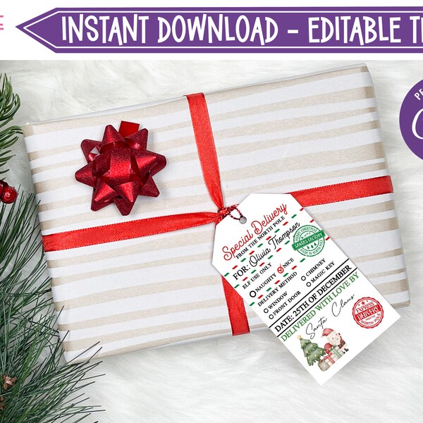 Special Delivery Gift Tags Printable - 60+ Gift Ideas for 2024