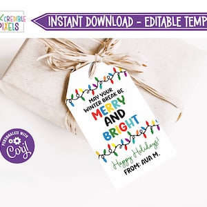 Printable Merry and Bright Gift Tag, Teacher School Gift Tag, Winter Break Tag, Classroom Gift Tag, Download, Editable, CT1