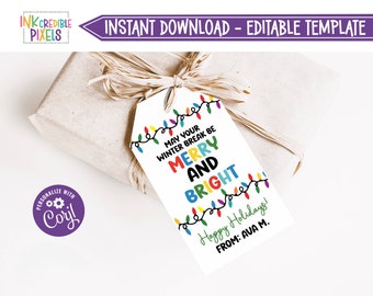 Printable Merry and Bright Gift Tag, Teacher School Gift Tag, Winter Break Tag, Classroom Gift Tag, Download, Editable, CT1