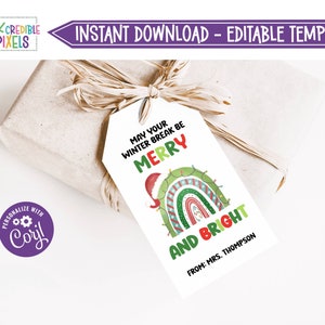 Printable Merry and Bright Gift Tag, Teacher School Gift Tag, Winter Break Tag, Classroom Gift Tag, Download, Editable, CT1