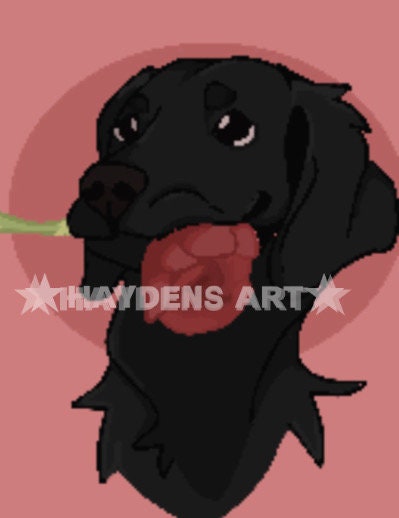 essa-maker-in-2024-emotional-support-dog-emotional-support-animal