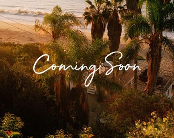 LA Palm Tree Patch – Large 9.5"x8" Iron-On Patch | Preorder | California Back Patch | City Vibes | Los Angeles Jacket Patch