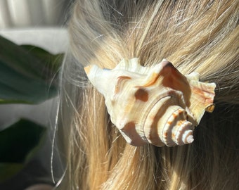 Shell Barrette