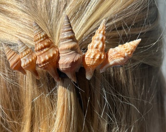 Seashell Barrette