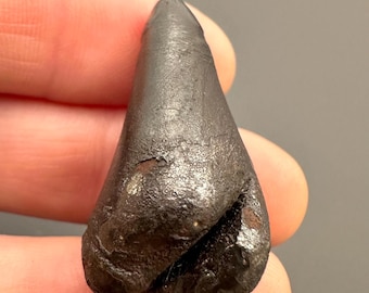 Meteorite Sikhote Alin – Russia