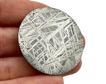 Meteorite Muonionalusta – Norrbotten, Sweden