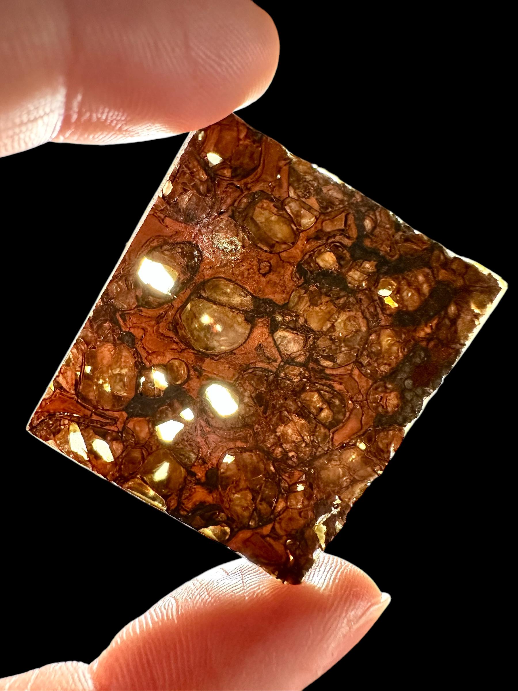 Meteorite Pallasite Jepara – Java, Indonesia - Etsy