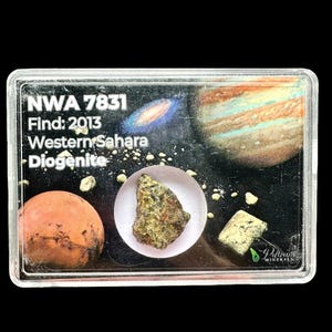 Meteorite NWA 7831 – Western Sahara