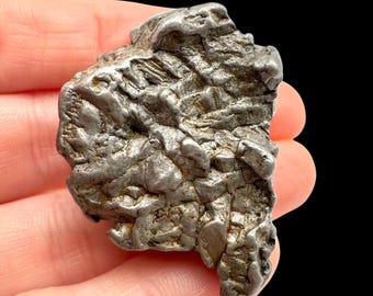 Meteorite Campo del Cielo 65,2g – Argentina