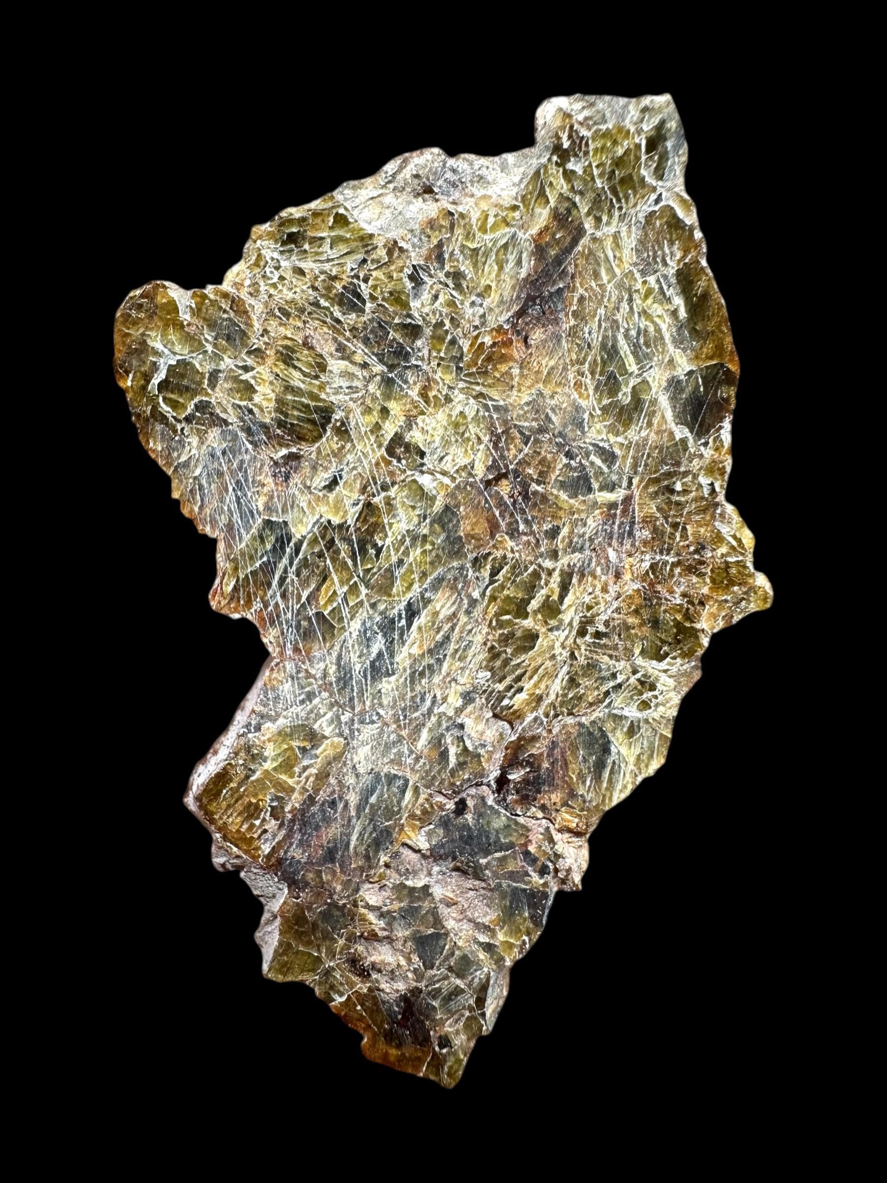 Meteorite NWA 7831 – Western Sahara - Etsy
