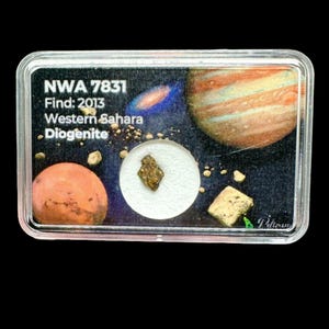 Meteorite NWA 7831 – Western Sahara