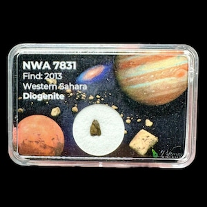 Meteorite NWA 7831 – Western Sahara