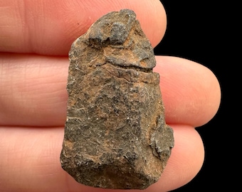 Meteorite Canyon Diablo 9,1g – Arizona, USA