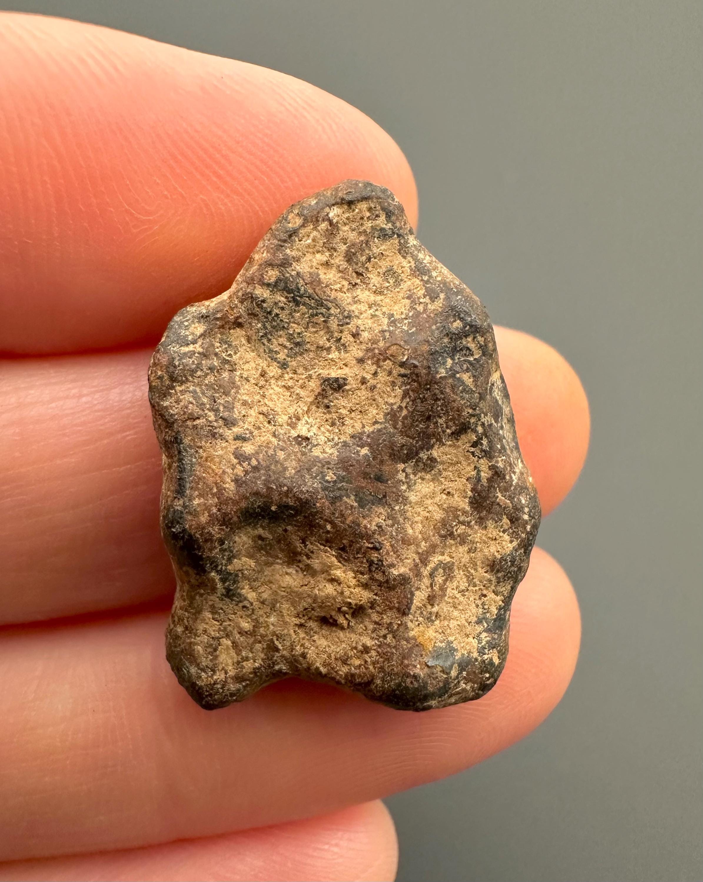 Meteorite Agoudal "Imilchil" – Morocco