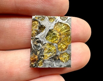 May include: A rectangular, polished gemstone with a unique pattern of silver-colored metal and golden-yellow, rounded inclusions. The stone is held between two fingers against a black background, highlighting its intricate details and color variations.