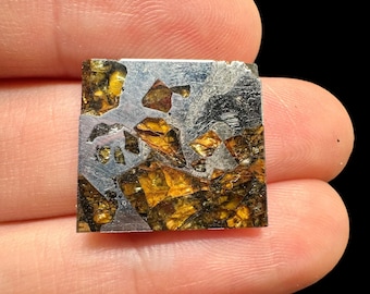 Könnte beinhalten: Ein quadratisches Meteoritenfragment mit einer silbermetallischen Matrix und eingebetteten goldgelben Kristallen. Die Oberfläche des Meteoriten hat ein strukturiertes Aussehen, das die natürlichen Muster und Farben des außerirdischen Materials zeigt. Das Fragment wird zwischen Fingern gehalten.