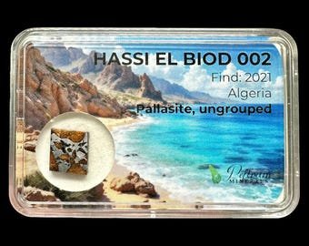 パラサイト隕石　Hassi el Biod 002　スライス　ケース　証明書付き 隕石ハッシ・エル・ビオ 002 – アルジェリア - Etsy 日本
