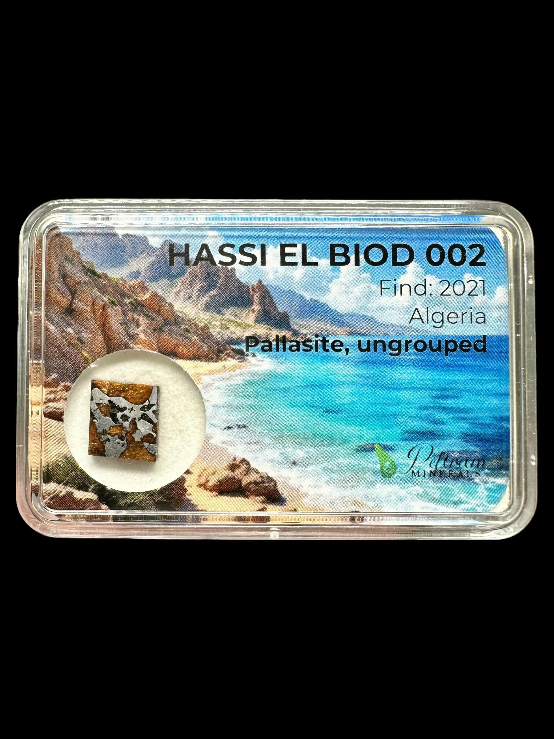 パラサイト隕石　Hassi el Biod 002　スライス　ケース　証明書付き 隕石ハッシ・エル・ビオ 002 – アルジェリア - Etsy 日本