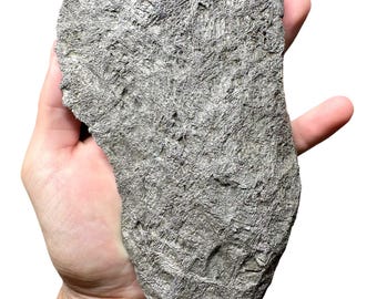 Meteorite Muonionalusta – Norrbotten, Sweden