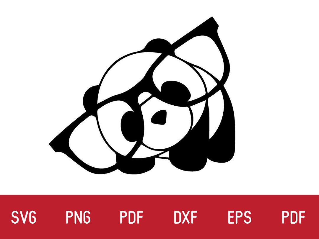 Cute Panda Svg, Bear Svg, Cute Panda, Cute Animal, Baby Animal, Baby ...