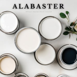 Sherwin Williams Alabaster,  | Home Paint Scheme Wall Decor, Renovation Planner, Instant sherwin-williams colors, Wall art, color chart