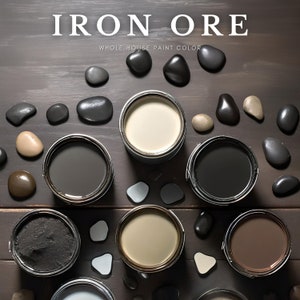 Iron Ore Home Paint Palette, Sherwin Williams 2025 Inspired, Whole House Color Scheme, Trendy Interior Paint Design, Renovation Planner