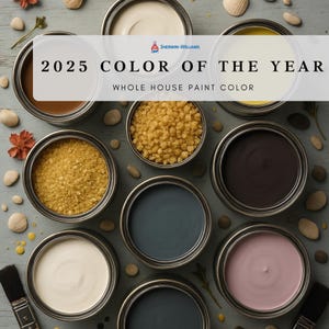 2025 Designer Choice Home Paint Palette Sherwin Williams Whole House Best Color Scheme Guide Trend Interior Paint Design Modern Farmhouse