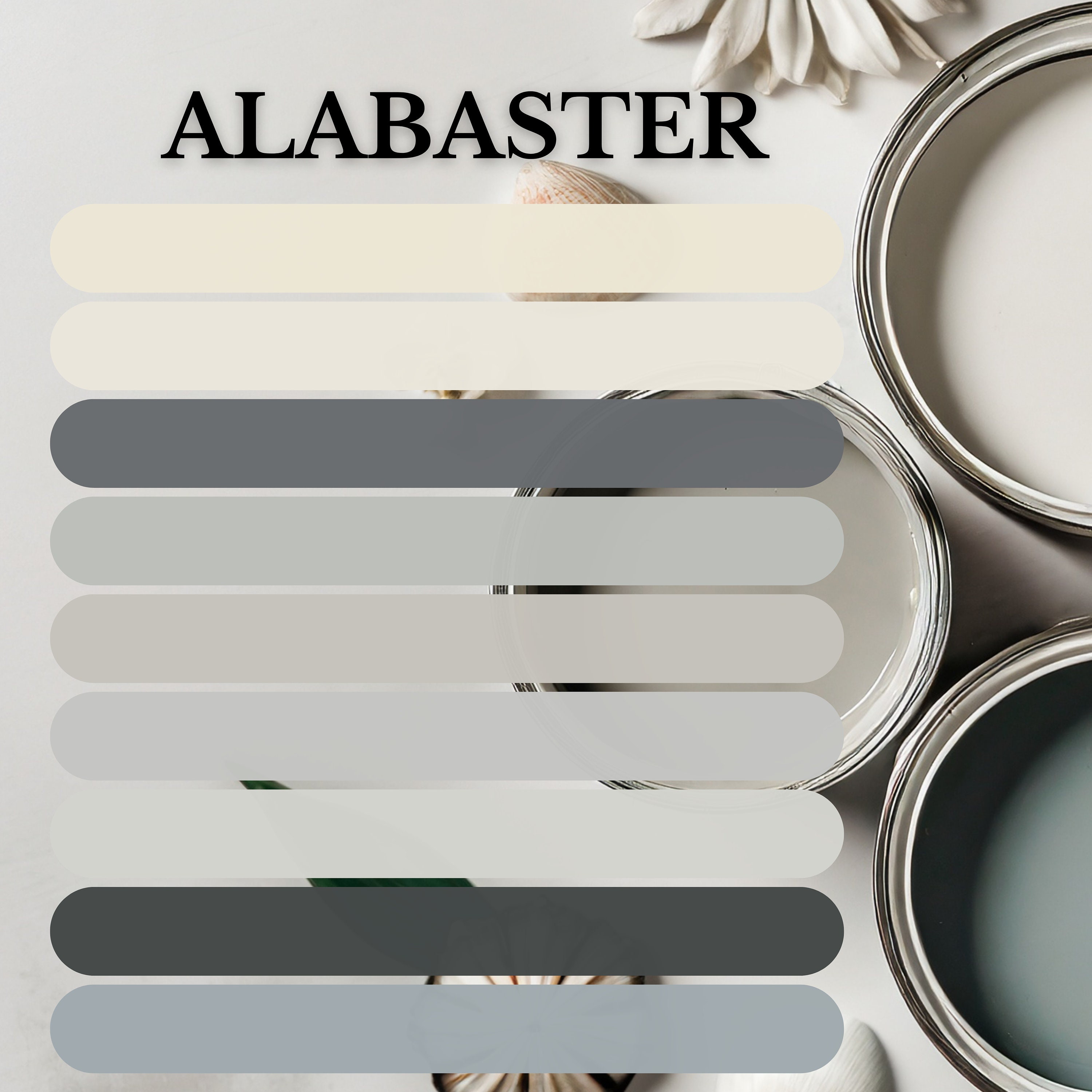 Sherwin Williams Alabaster, Home Paint Scheme Wall Decor, Renovation