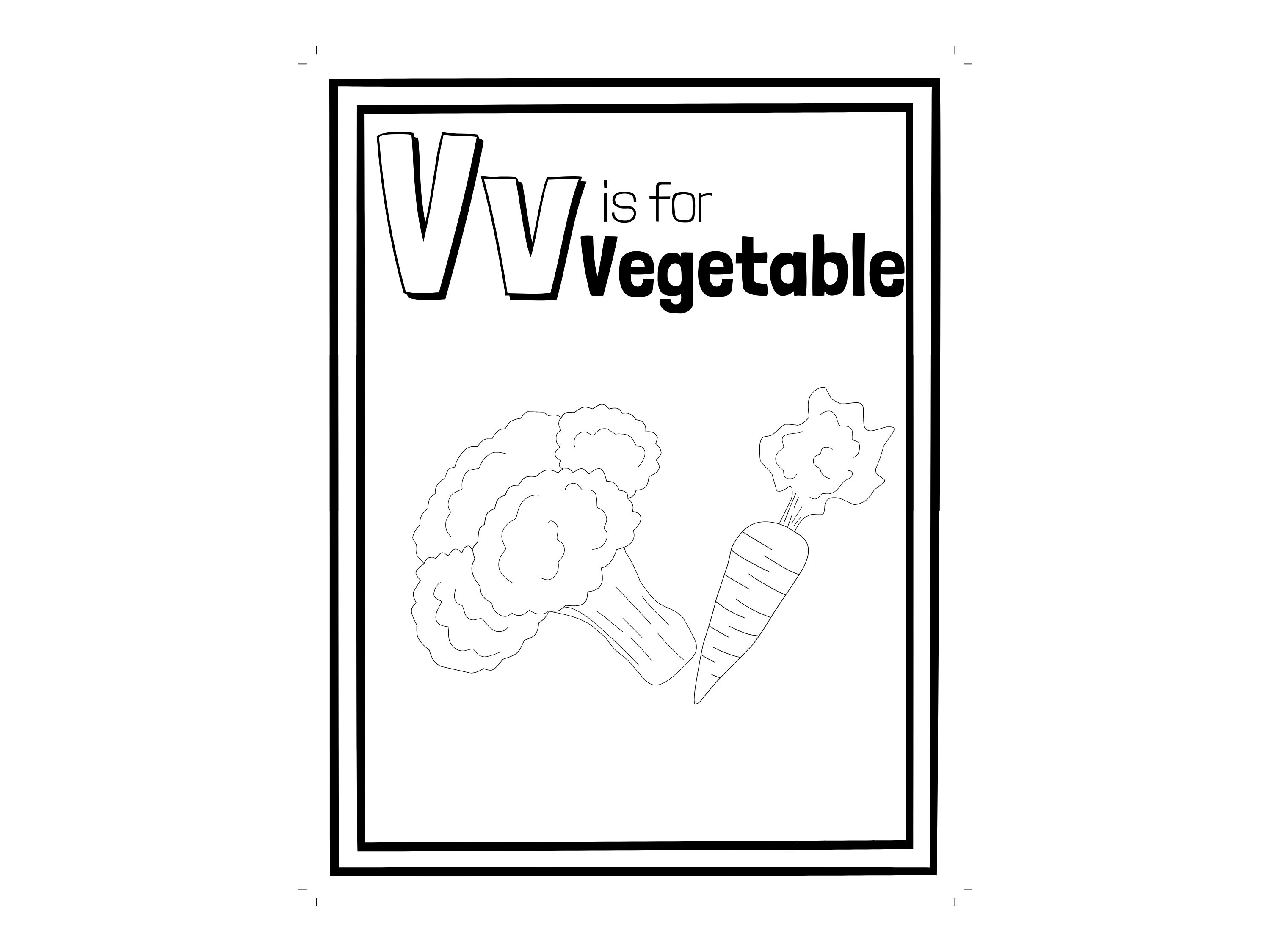 Educational Alphabet Cards Printable and Colorable Perfect Etsy