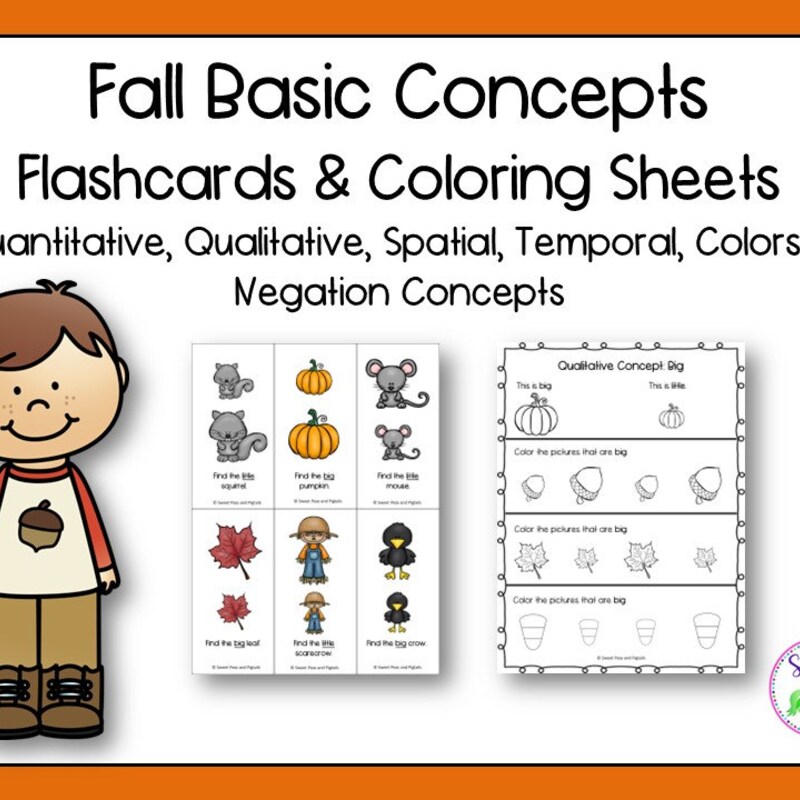 Spatial Concepts Speech Therapy - Etsy