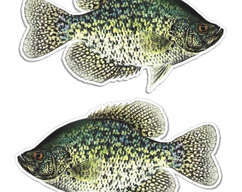 Crappie Sticker Decal Bateau de pêche RV Car Truck Camper Trailer - Lot de 2