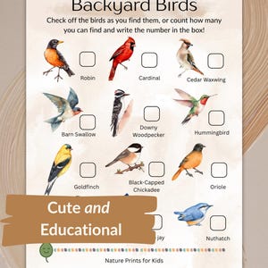 Bird Scavenger Hunt for Kid Printable Nature Activity Backyard Bird Watching Educational Outdoor Worksheet Fun Summer Homeschool Activity