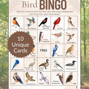 Bingo Game Bird Theme for Family Bird Bingo Activity Nature Learning Game Animal Education Sheet Fun Camping Nature Activity for Birding