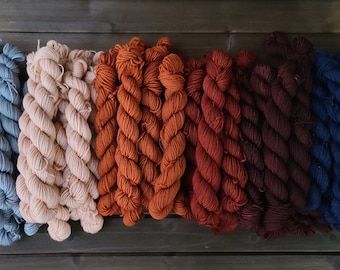 Hello Winter Mini Skein Set! | Fingering/Sock weight, Worsted weight, Hand Dyed Yarn, Indie Dyed Yarn, Superwash Merino