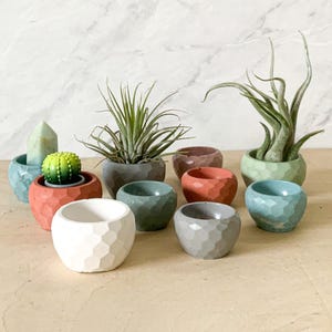 May include: A collection of small, geometric-patterned planters in various colors, including white, gray, teal, and coral. Several planters hold small succulents and air plants, creating a decorative display. The planters are arranged on a light-colored surface.