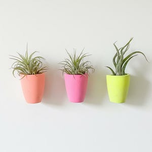 Neon Wall Vase - Pink Yellow Orange Hanging Bud Planter - Dopamine Decor Funky Gallery Accent