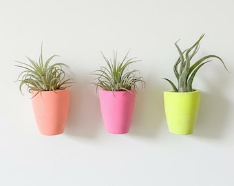 Neon Wall Vase - Pink Yellow Orange Hanging Bud Planter - Dopamine Decor Funky Gallery Accent