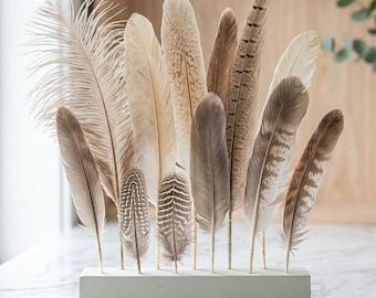 Modern Feather Display Holder - Nature Home Decor Perch for Altar, Meditation Space & Boho Wall Hanging