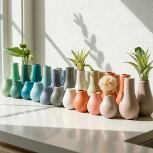 Colorful Mini Concrete Vases for Air Plants, Dried & Wild Flowers - Unique Home Decor Gift