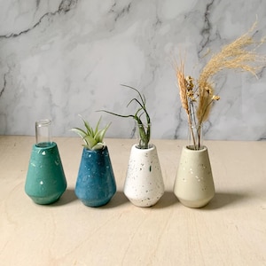 Puede incluir: Cuatro pequeños jarrones de hormigón con patrones moteados en verde azulado, azul, blanco y beige. Cada jarrón tiene un tubo de ensayo de vidrio transparente para sostener pequeñas plantas o flores.